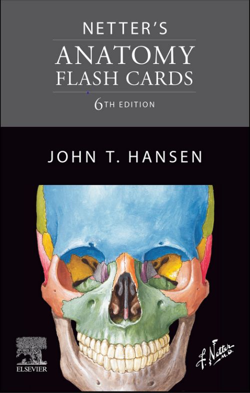 Netter's Anatomy Flash Cards - 6th edition