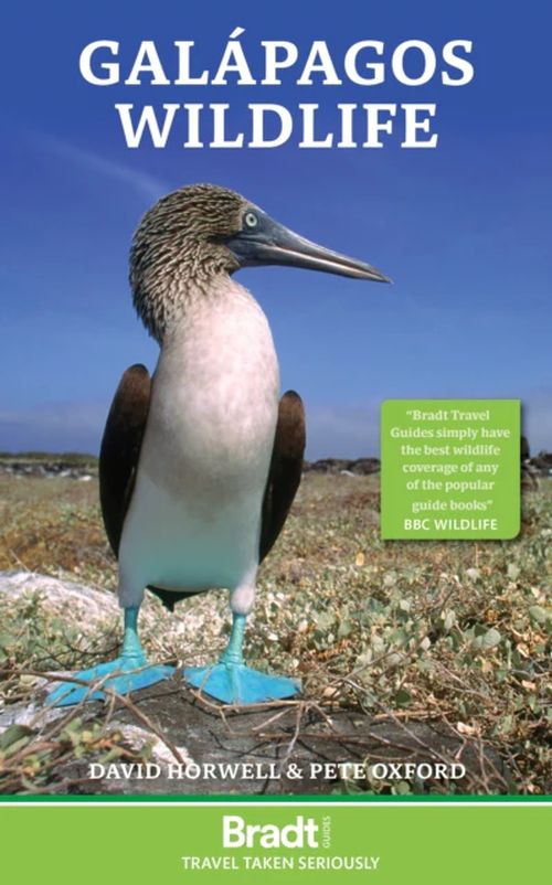 Galapagos Wildlife, Bradt Travel Guide (4th ed. Apr. 23)