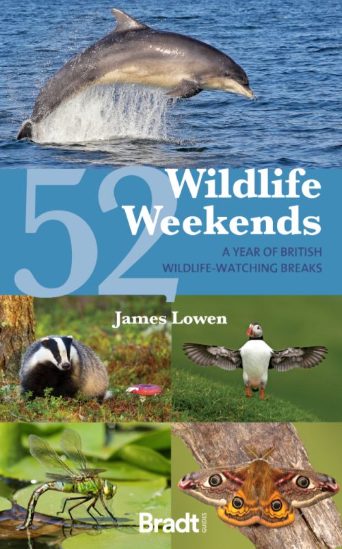 52 Wildlife Weekends: A Year of British Wildlife-Watching Breaks, Bradt Travel Guide (2nd ed. Aug 23)