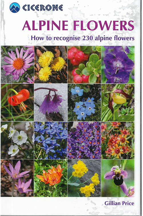 Alpine Flowers: How to recognise 230 alpine flowers