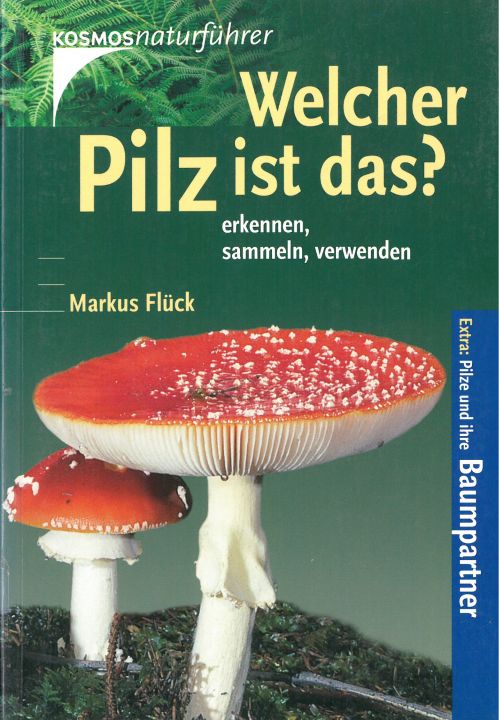 Welcher Pilz ist das?