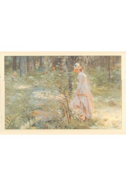 Brevmappe Anders Zorn 12 dobbelte kort m/4 motiver