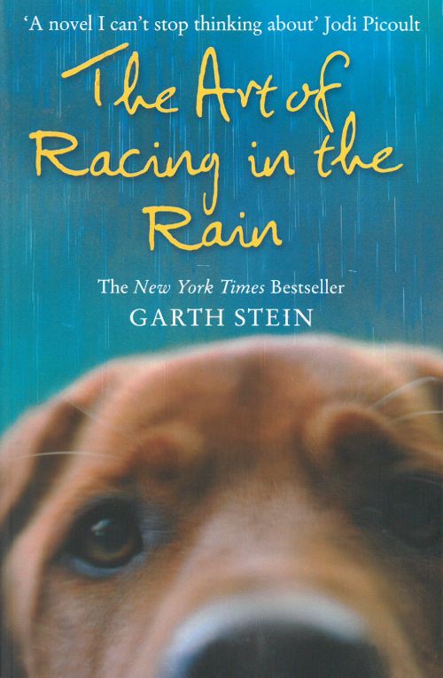 Art of Racing in the Rain, The (PB) - B-format