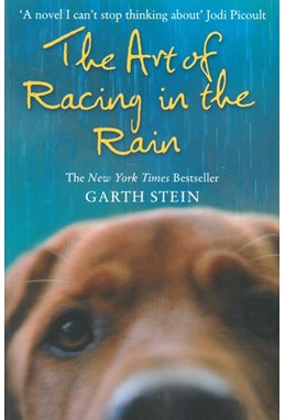 Art of Racing in the Rain, The (PB) - B-format