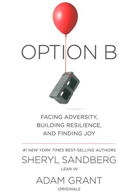 Option B: Facing Adversity, Building Resilience and Finding Joy (PB) - C-format