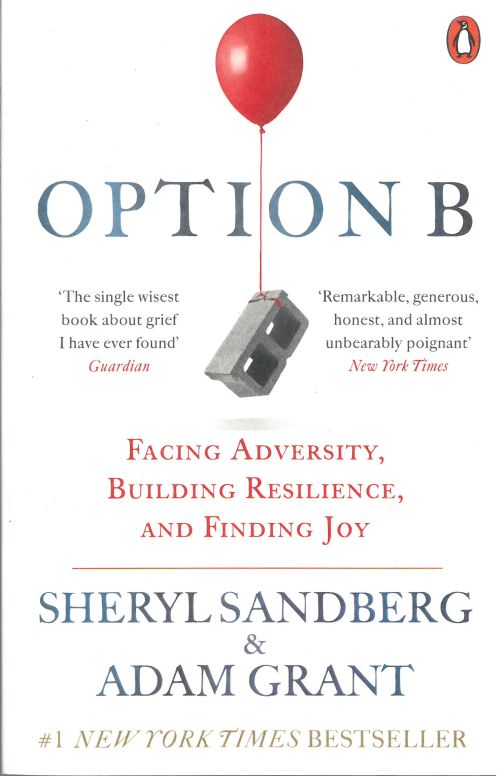 Option B: Facing Adversity, Building Resilience, and Finding Joy (PB) - B-format