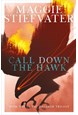 Call Down the Hawk (PB) - (1) Dreamer Trilogy - B-format