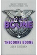 Theodore Boone (PB) - B-format