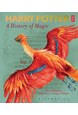 Harry Potter - A History of Magic: The Book of the Exhibition (PB)