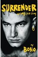 Surrender: 40 Songs, One Story (HB)