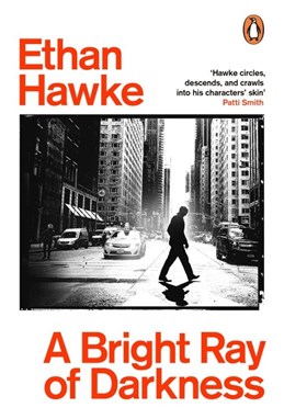 Bright Ray of Darkness, A (PB) - B-format