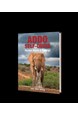 Addo Self-drive: Routes, Roads & Ratings