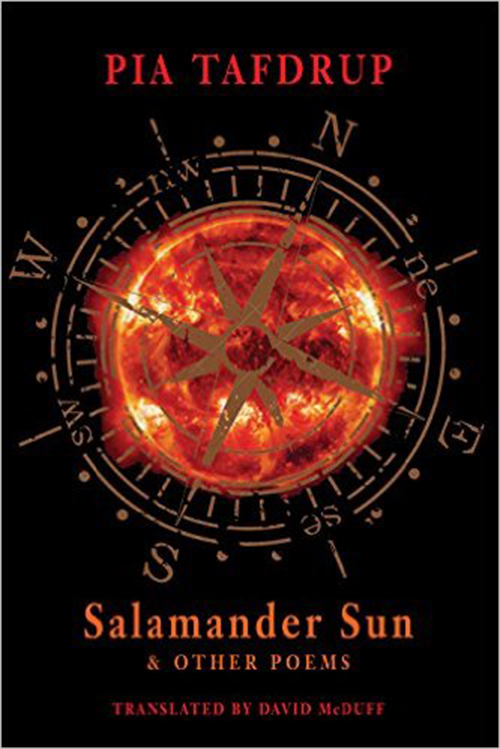 Salamander Sun and Other Poems (PB)