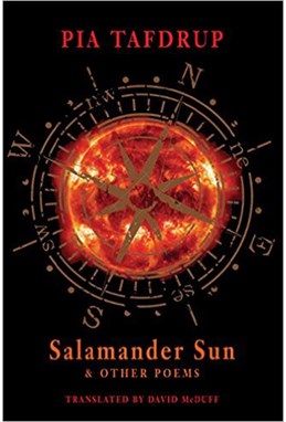 Salamander Sun and Other Poems (PB)