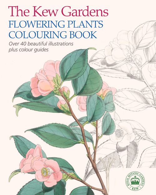 Kew Gardens Flowering Plants Colouring Book, The: Over 40 Beautiful Illustrations Plus Colour Guides (PB)