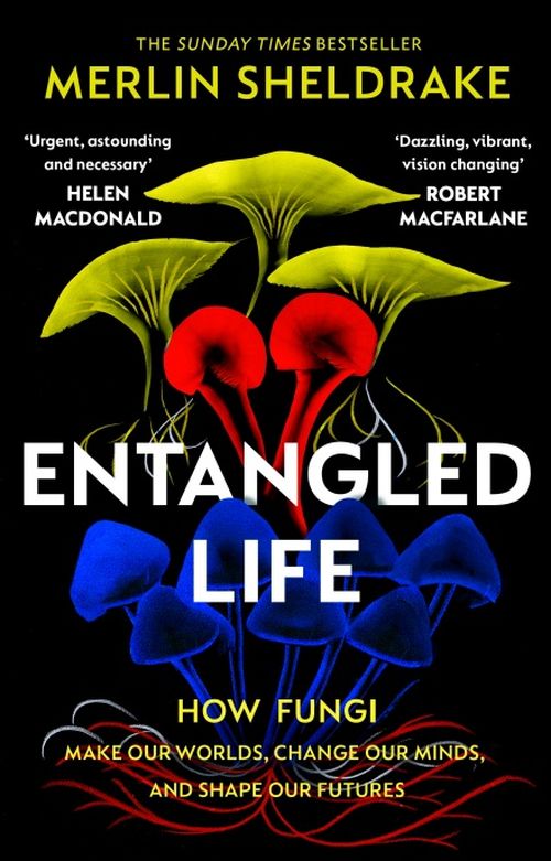 Entangled Life: How Fungi Make Our Worlds, Change Our Minds and Shape Our Futures (PB) - B-format