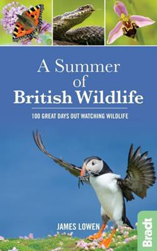 Summer of British Wildlife, A: 100 great days out watching wildlife (1st ed. Mar. 16)
