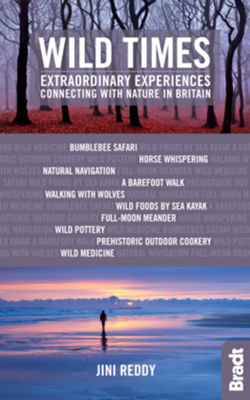 Wild Times: Extraordinary Experiences Connecting with Nature in Britain (1st ed. Oct. 16)