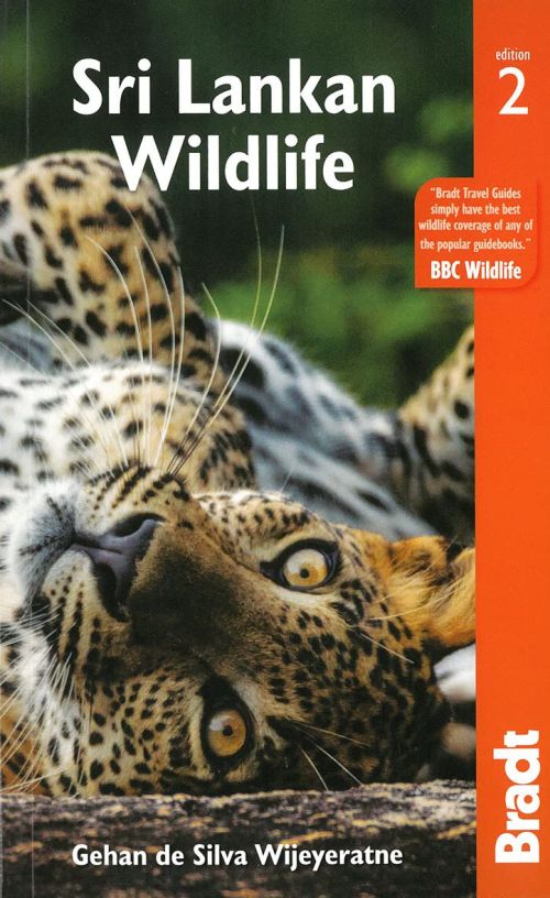 Sri Lankan Wildlife, Bradt Travel Guide (2nd ed. Mar. 22)