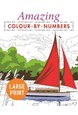 Amazing Colour by Numbers Large Print