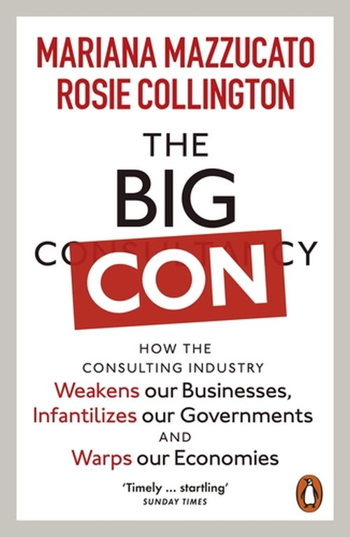 Big Con: How the Consulting Industry Weakens our Businesses, Infantilizes our Governments and Warps our Economies (PB)