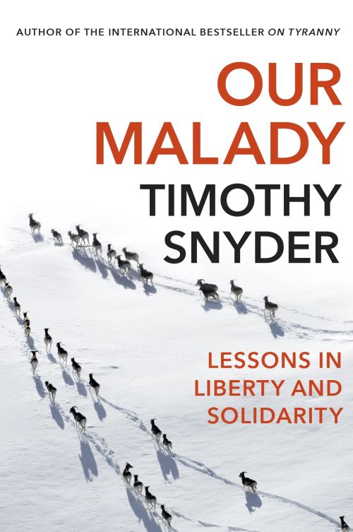Our Malady: Lessons in Liberty and Solidarity (PB) - B-format