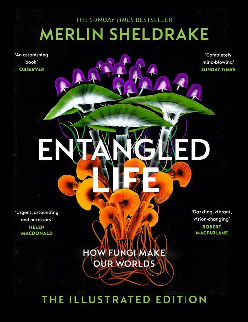 Entangled Life: How Fungi Make Our Worlds, Change Our Minds and Shape Our Futures - The Illustrated Edition (HB)