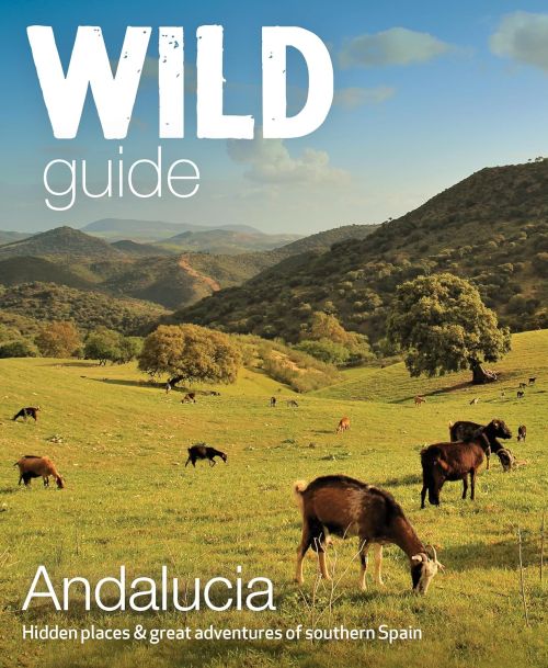 Wild Guide Andalucia: Hidden Places & great adventures in southern Spain