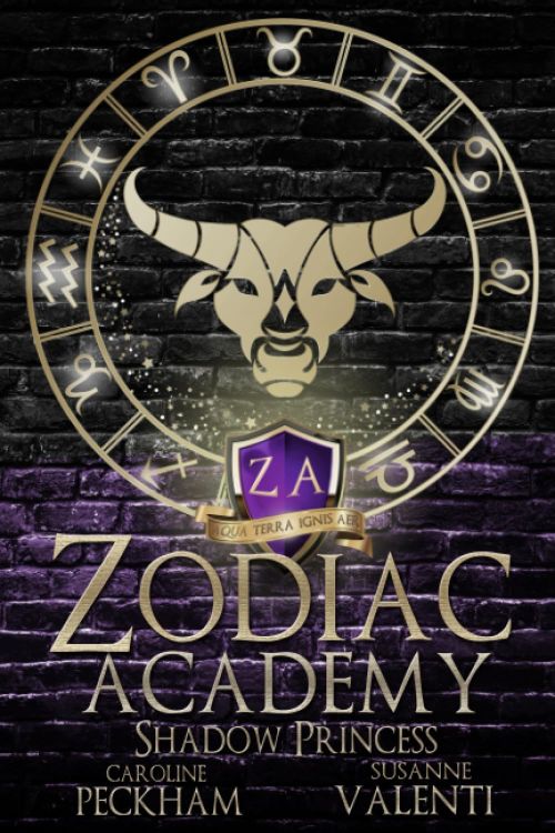 Zodiac Academy (vol. 4): Shadow Princess (PB)