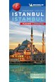 Istanbul Street Map Laminated