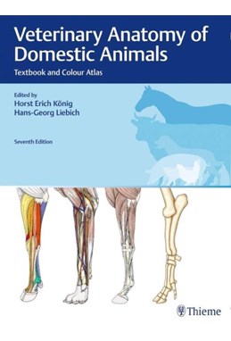 Veterinary Anatomy of Domestic Animals