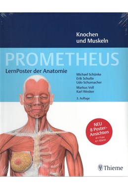 PROMETHEUS LernPoster der Anatomie, Knochen und Muskeln