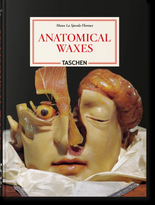 Anatomical Waxes - Museo La Specola Florence. 45th Ed.