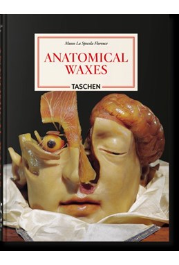 Anatomical Waxes - Museo La Specola Florence. 45th Ed.