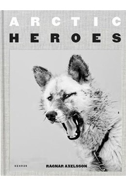 Arctic Heroes: A Tribute to the Sled Dogs of Greenland