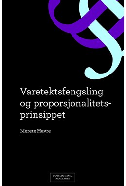Varetektsfengsling og proporsjonalitetsprinsippet : en balansetest