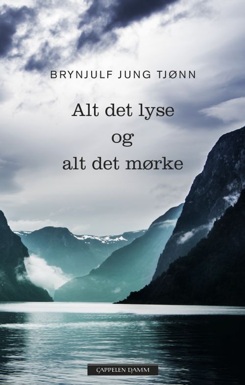 Alt det lyse og alt det mørke : roman