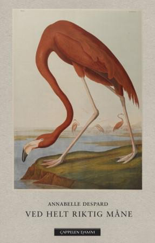 Ved helt riktig måne : dikt