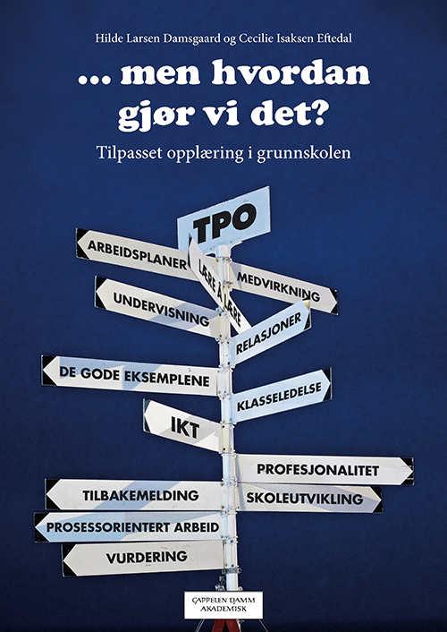 ...men hvordan gjør vi det? : tiilpasset opplæring i grunnskolen