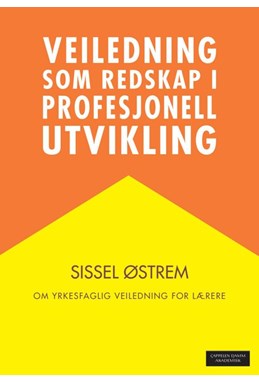Veiledning som redskap i profesjonell utvikling : om yrkesfaglig veiledning for lærere