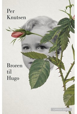 Broren til Hugo : roman