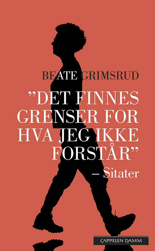 Det finnes grenser for hva jeg ikke forstår : og andre sitater