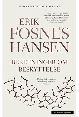Beretninger om beskyttelse 1 : natten : roman