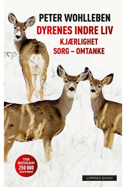 Dyrenes indre liv : kjærlighet, sorg, omtanke