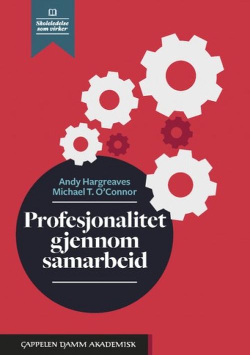 Profesjonalitet gjennom samarbeid : når undervisning i samarbeid gir læring for alle