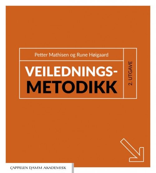 Veiledningsmetodikk : en håndbok i praktisk veiledningsarbeid  (2. utg.)