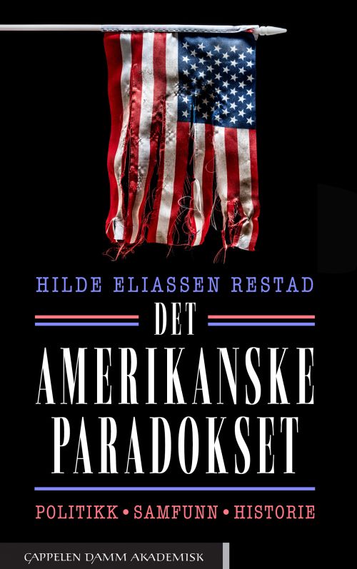 Det amerikanske paradokset : politikk, samfunn, historie
