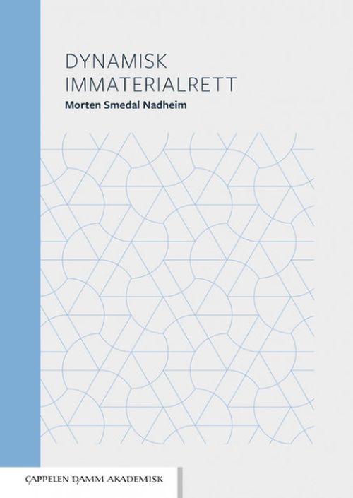 Dynamisk immatrialrett
