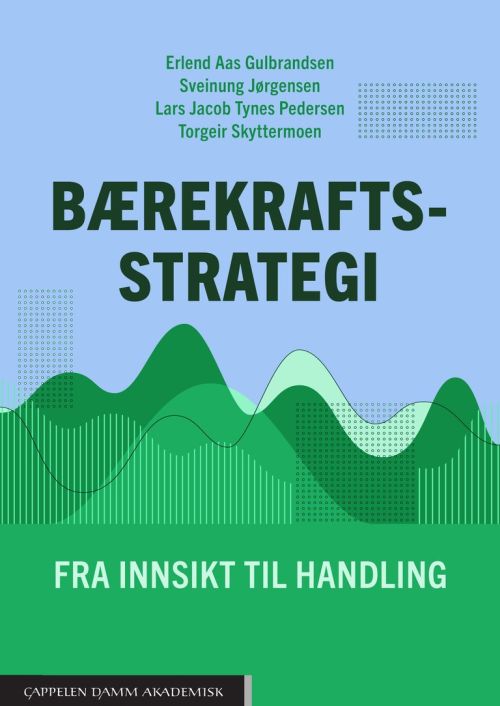 Bærekraftsstrategi : fra innsikt til handling