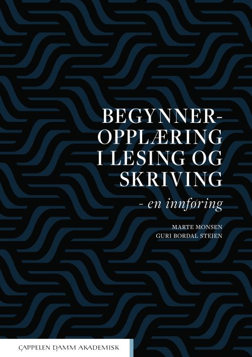 Begynneropplæring i lesing og skriving : en innføring